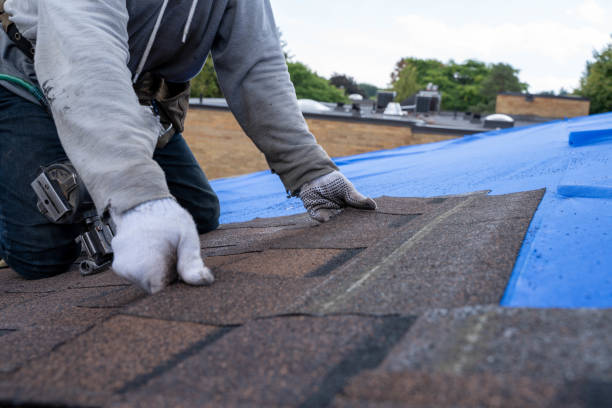 Best Commercial Roofing Services  in Ravenna, MI