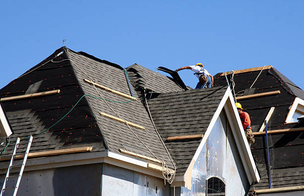 Best Roof Repair Services  in Ravenna, MI