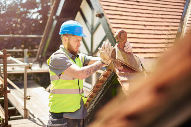Best Gutter Installation and Roofing  in Ravenna, MI